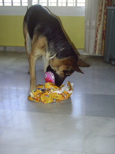 abriendo su segundo regalo su pelota de hello keytti k tanto aprecia: